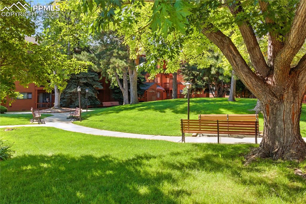 Image 3 of 26: Community