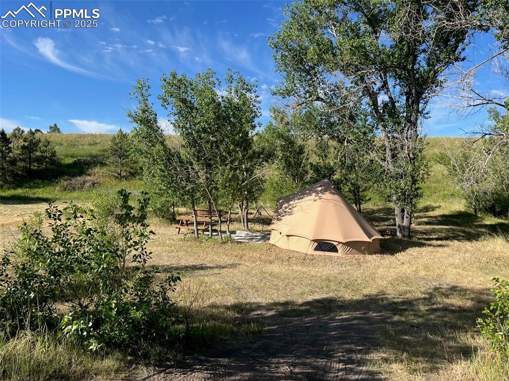 Image 43 of 50: Treed camping area