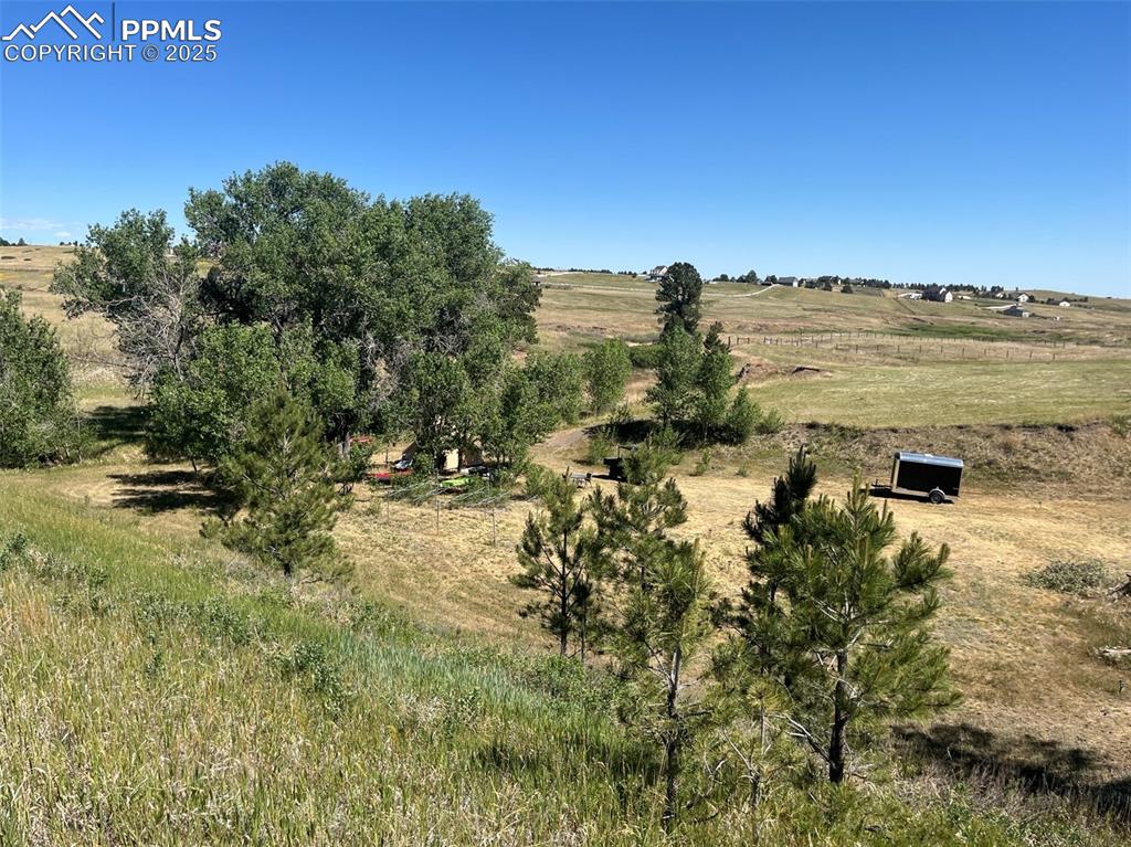 Image 44 of 50: treed camping area