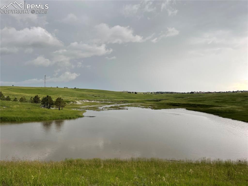 Image 45 of 50: Seasonal pond