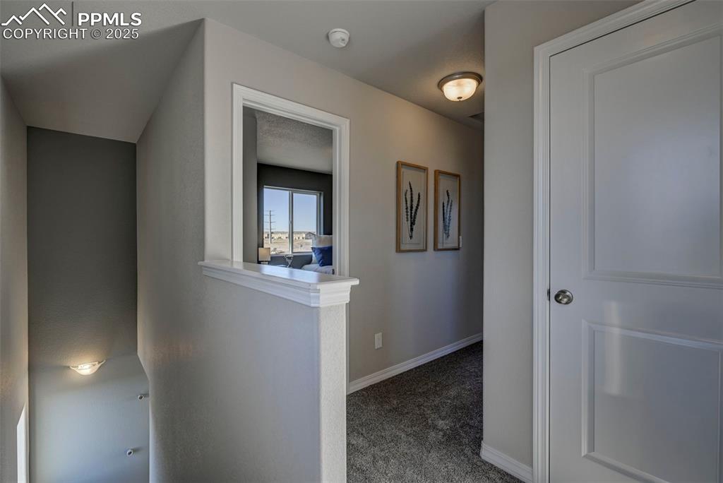 Image 17 of 32: Other