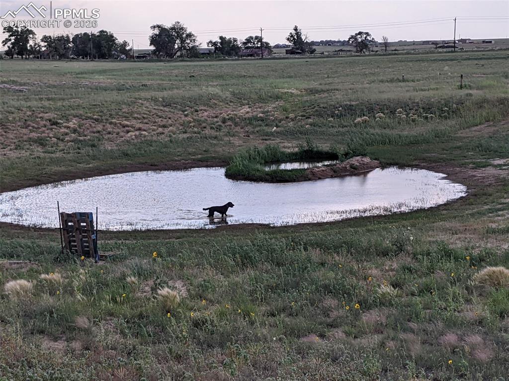 Image 34 of 44: Yard