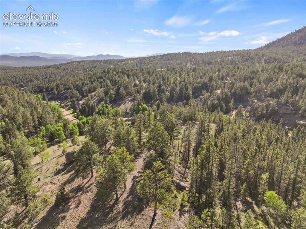 Image 48 of 50: Pastures with the home tucked in the trees