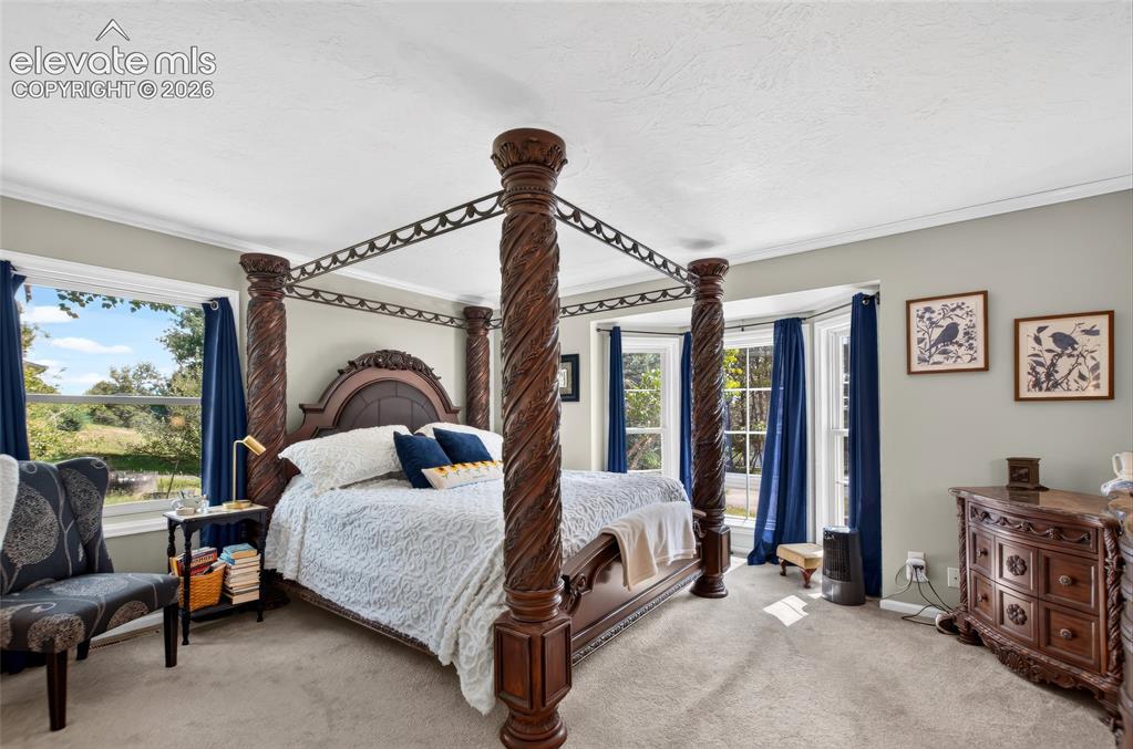Image 13 of 43: Expansive room featuring light-colored carpeting, multiple windows, and a b
