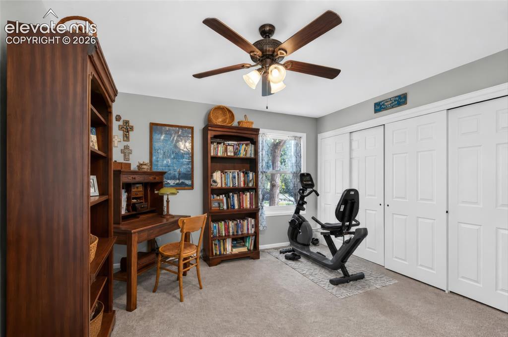Image 14 of 43: Carpeted flooring, a window offering natural light, two sets of white bi-fo