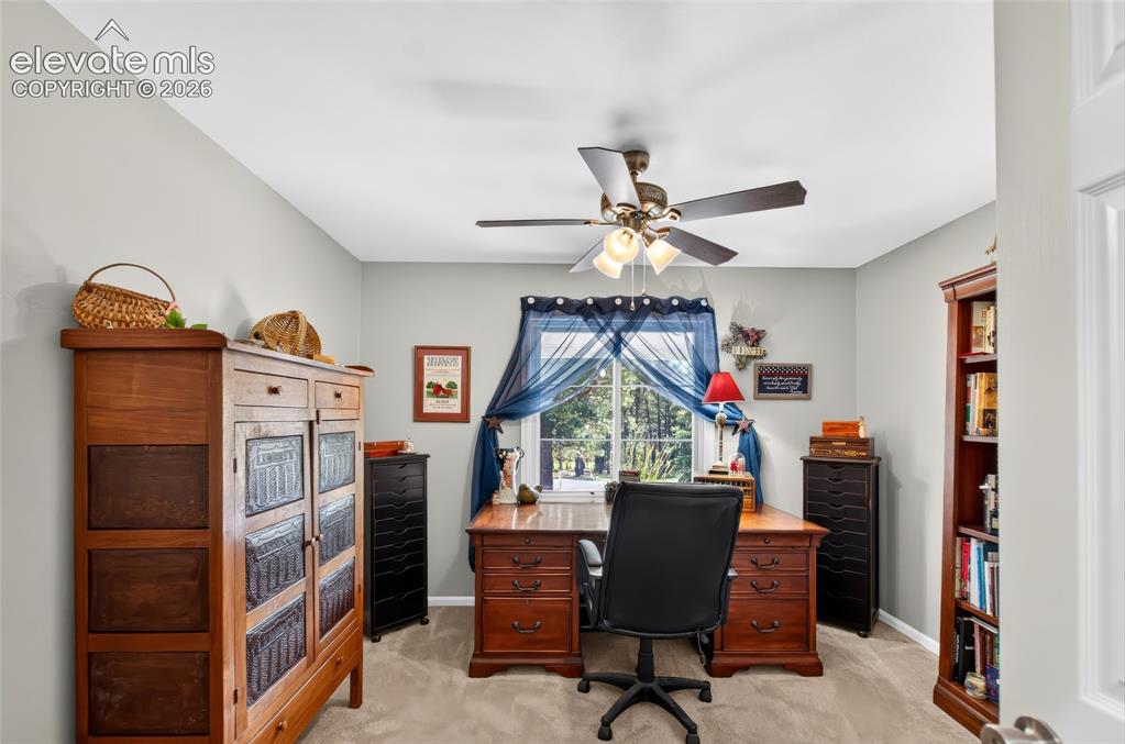 Image 15 of 43: Neutral-toned walls enhance the bright interior