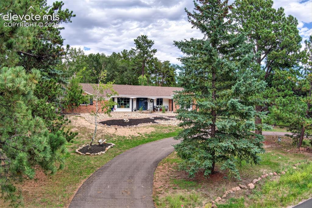 Image 35 of 43: Winding paved driveway leading to the residence