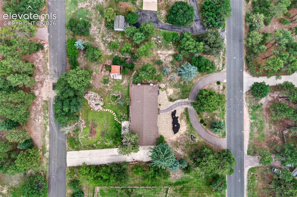 Image 36 of 43: Extensive lot with mature trees, a private driveway, stone pathways, and a 