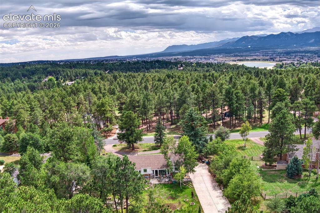 Image 40 of 43: Wooded landscape featuring an expansive forest and distant mountain range