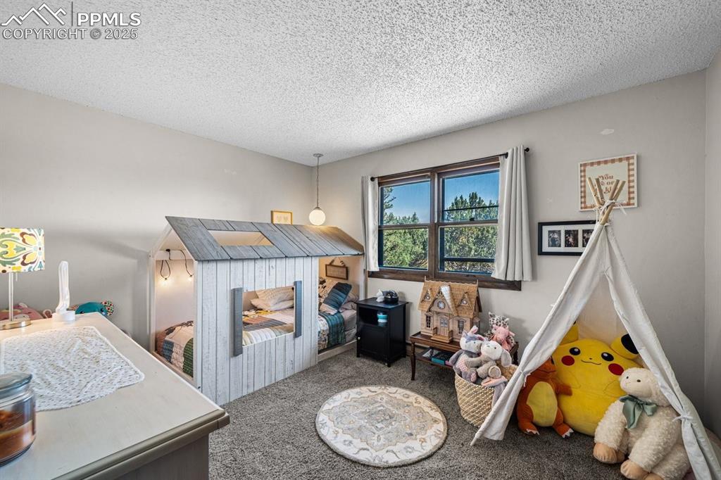 Image 25 of 38: Recreation room featuring carpet flooring and a textured ceiling