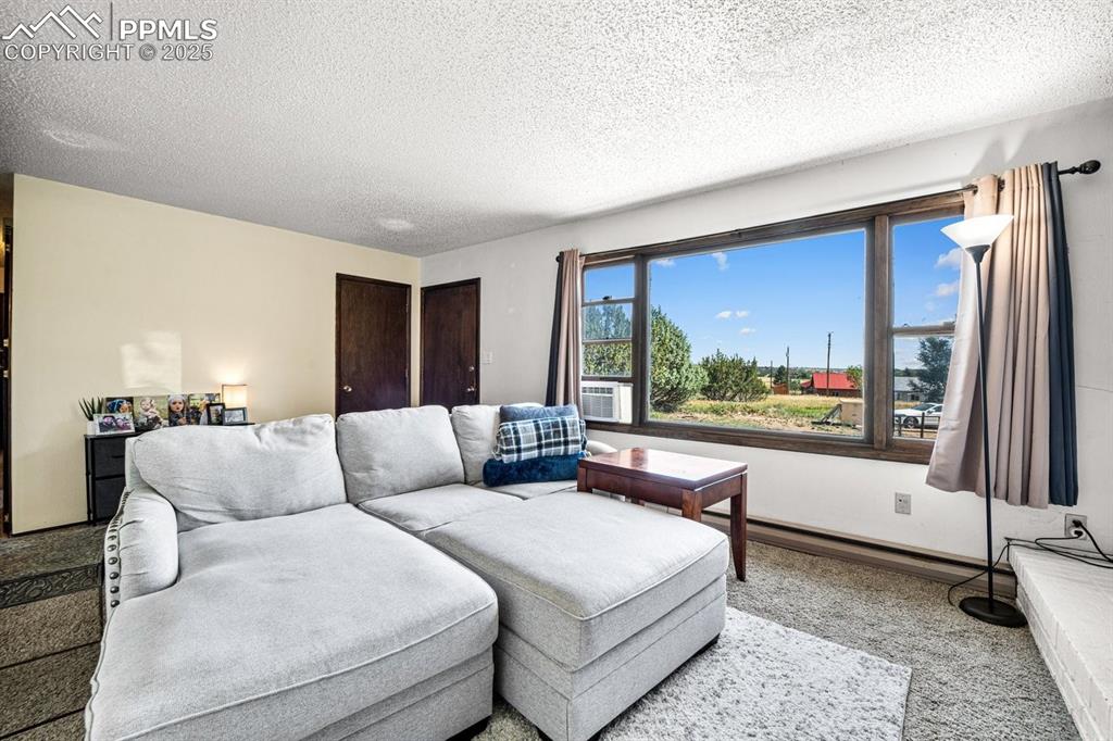 Image 6 of 38: Living room featuring light colored carpet and a textured ceiling
