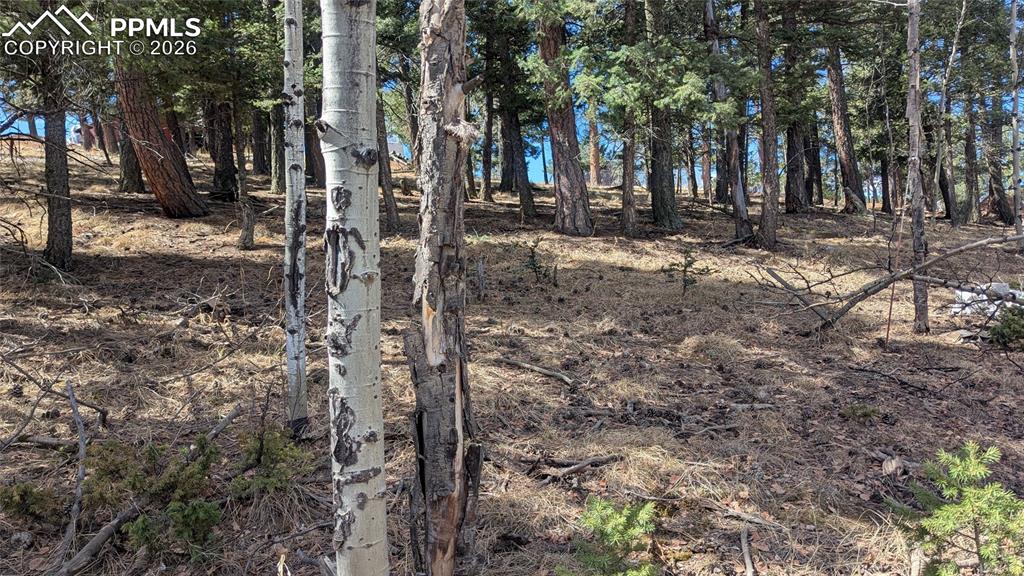 Caption: useable land parcel