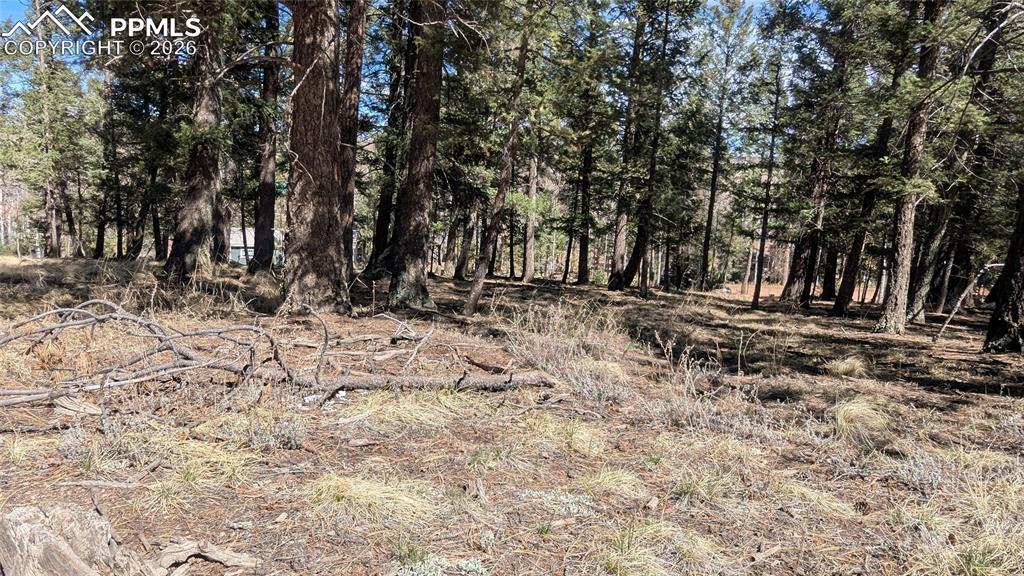 Image 3 of 5: Enjoy the peace and quiet