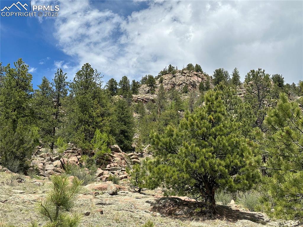 Image 10 of 20: Other