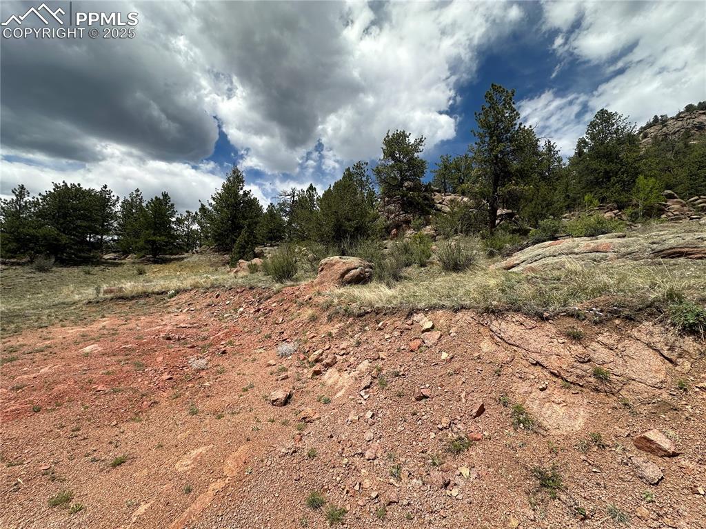 Image 11 of 20: Other