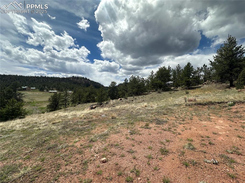 Image 12 of 20: Other