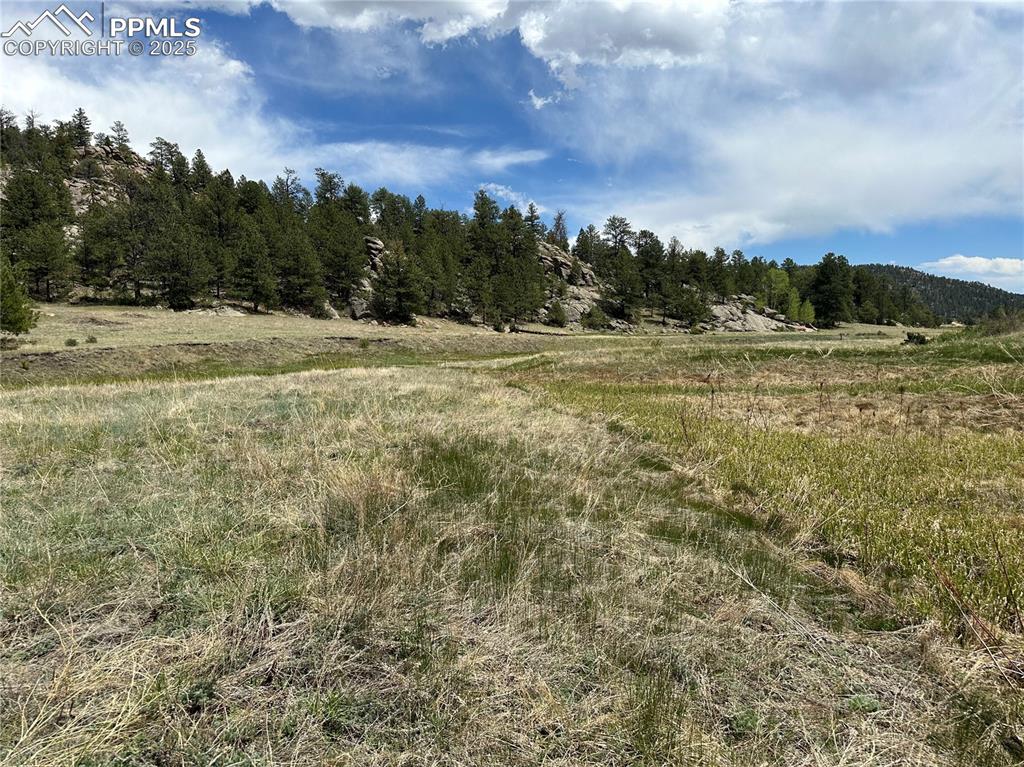 Image 13 of 20: Other