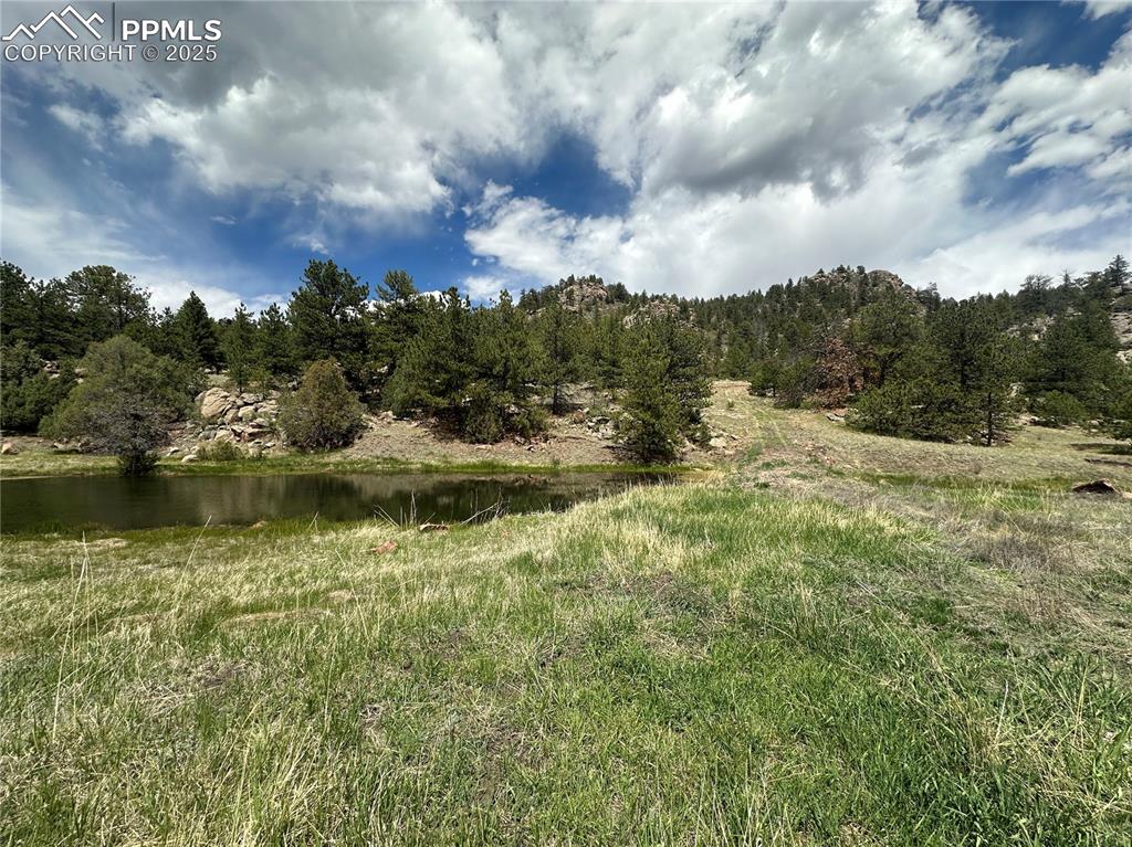 Image 15 of 20: Other