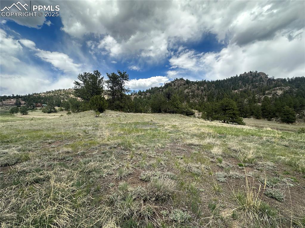 Image 17 of 20: Other