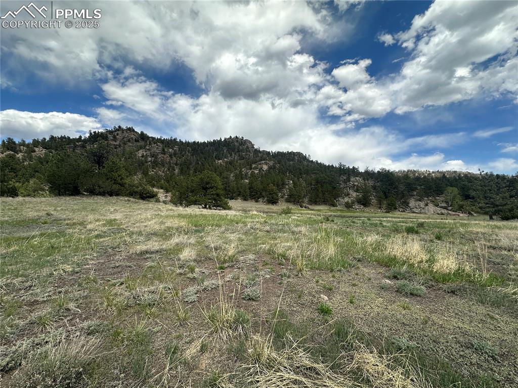 Image 18 of 20: Other