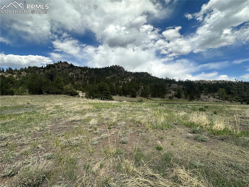 Image 19 of 20: Other