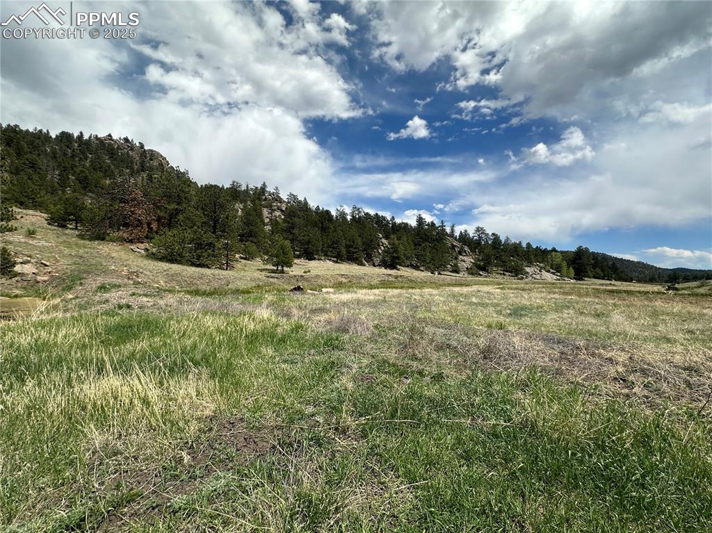 Image 2 of 20: Other