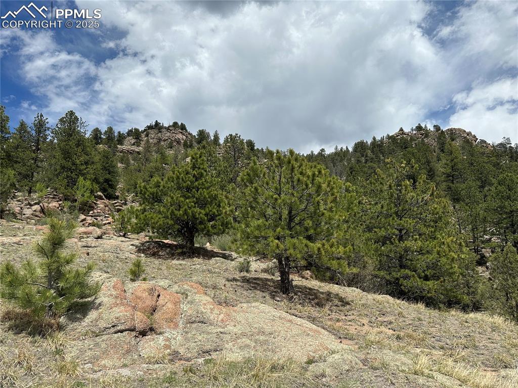 Image 5 of 20: Other