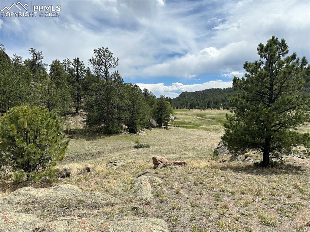 Image 7 of 20: Other