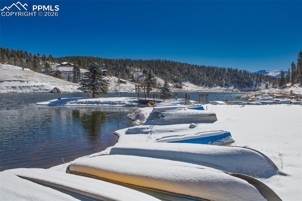 Image 39 of 50: Community