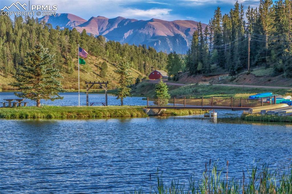 Image 42 of 50: Community