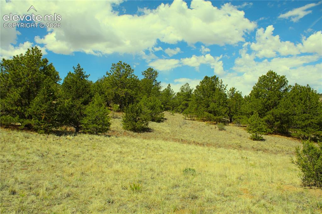Image 7 of 13: Other