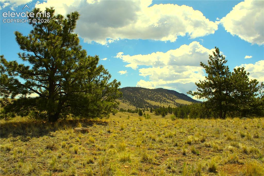 Image 8 of 13: View