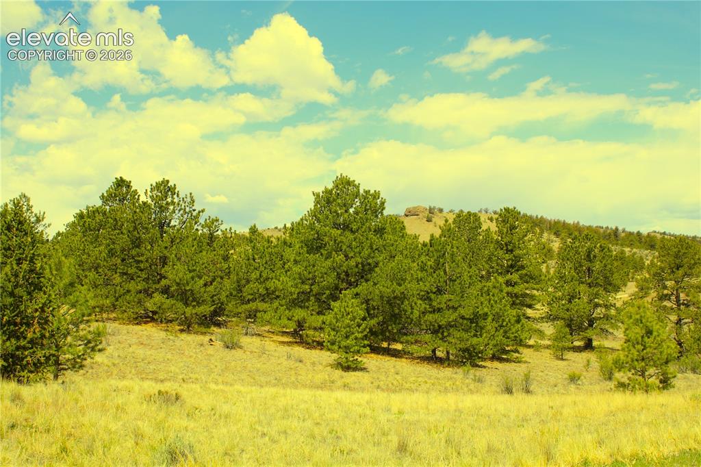 Image 9 of 13: Other