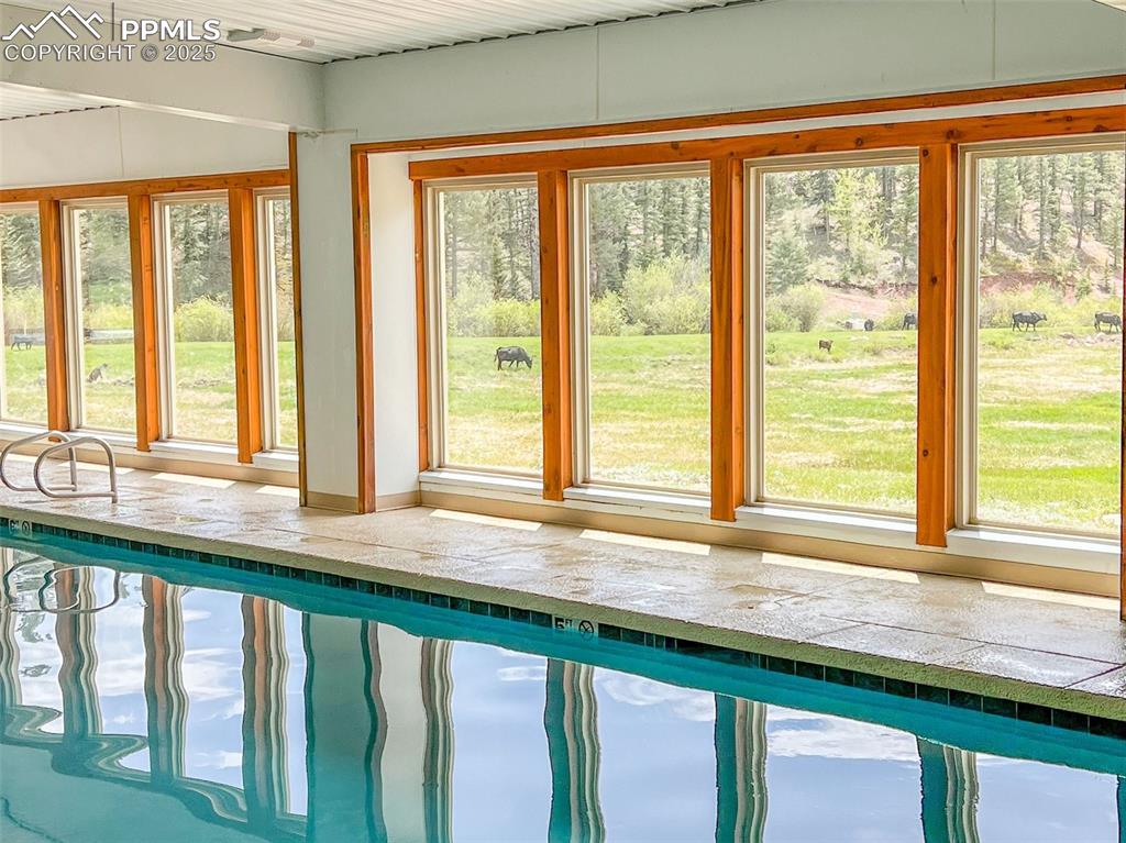 Image 39 of 49: View of indoor pool