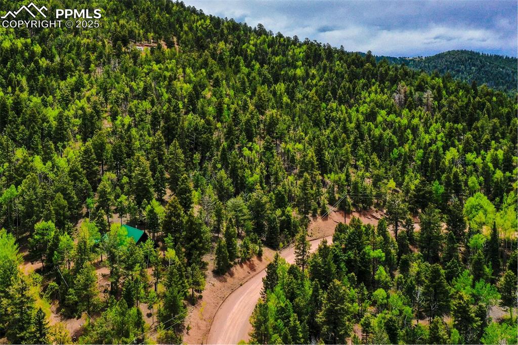 Image 41 of 49: Aerial view of a forest