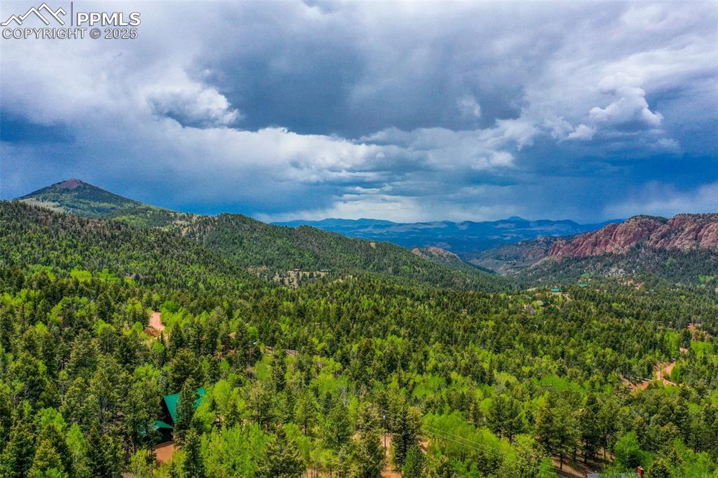 Image 42 of 49: View of mountain background with a heavily wooded area