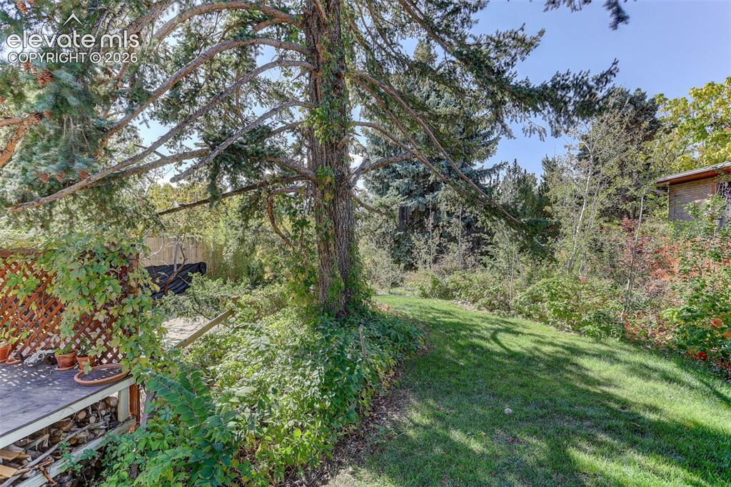 Image 11 of 25: Expansive yard featuring mature trees, established greenery, and a wooden d
