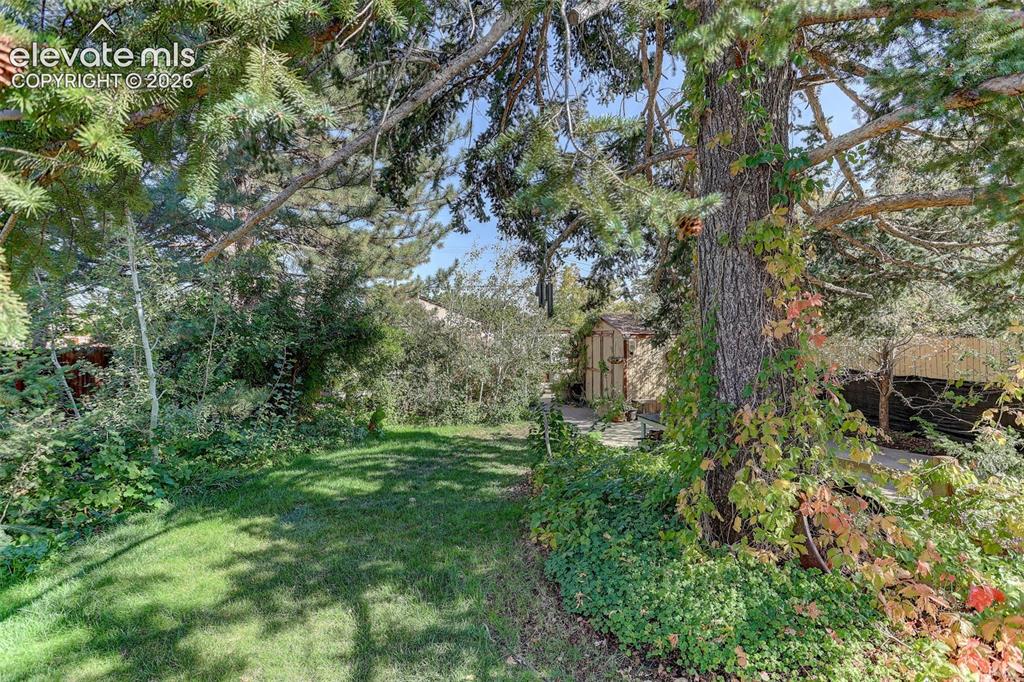 Image 12 of 25: Expansive yard featuring mature trees, manicured lawn, and lush landscaping