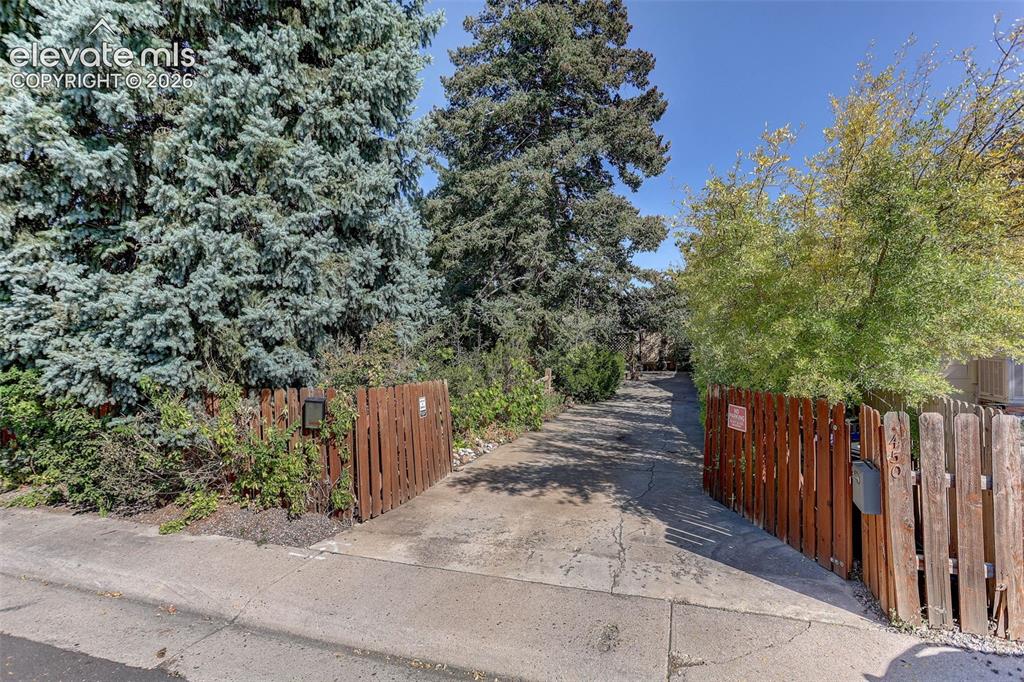 Image 2 of 25: Paved driveway with wood picket fencing and mature trees