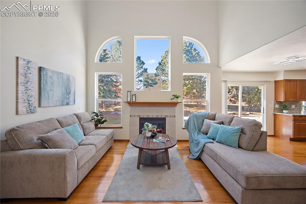 Image 15 of 44: No Description Available