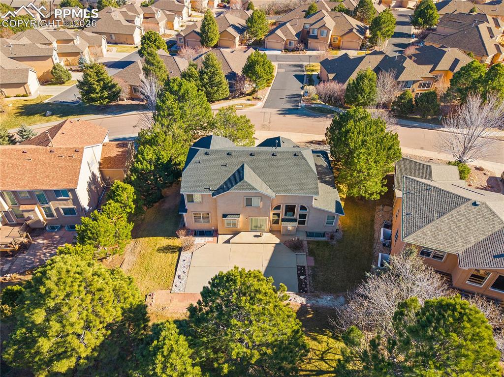 Image 41 of 44: No Description Available