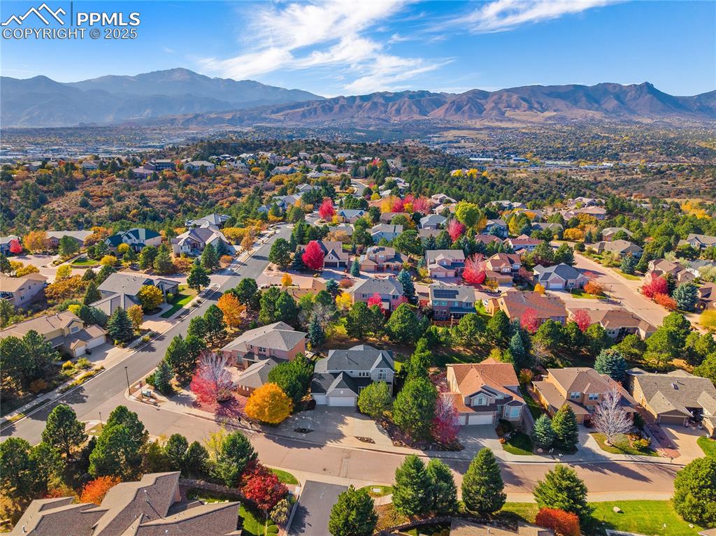 Image 44 of 44: No Description Available