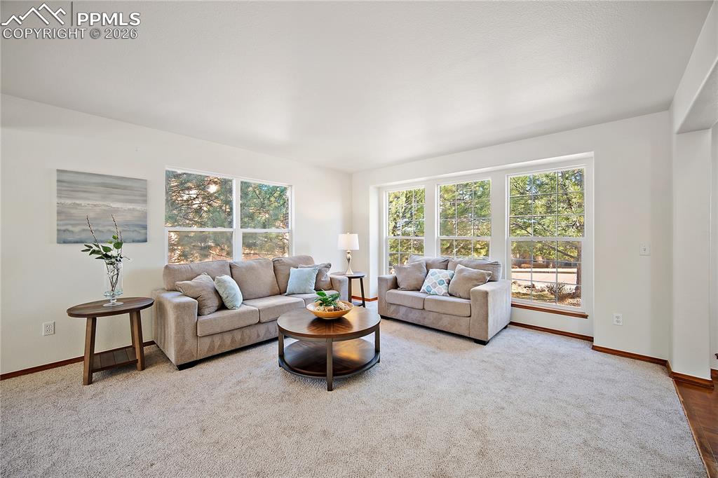 Image 6 of 44: New carpet and fresh paint throughout