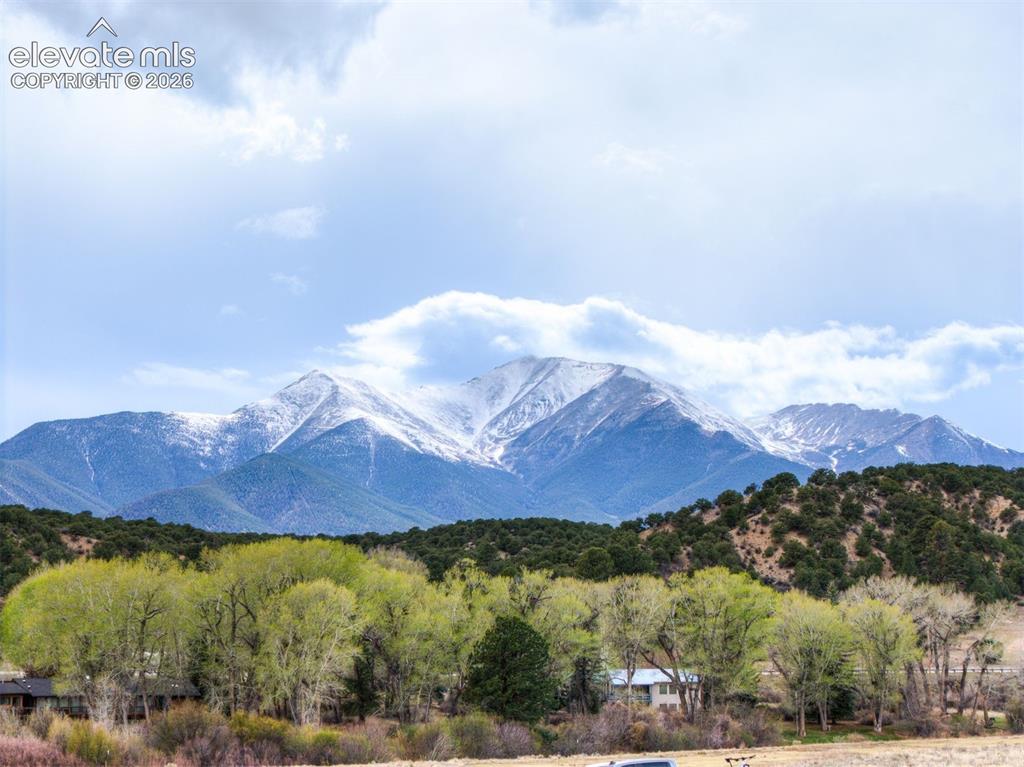 Image 8 of 10: View
