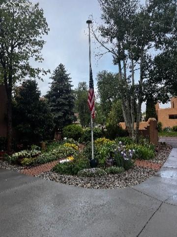 Image 37 of 42: Other