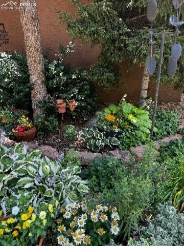 Image 38 of 42: Yard