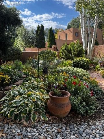 Image 39 of 42: Yard