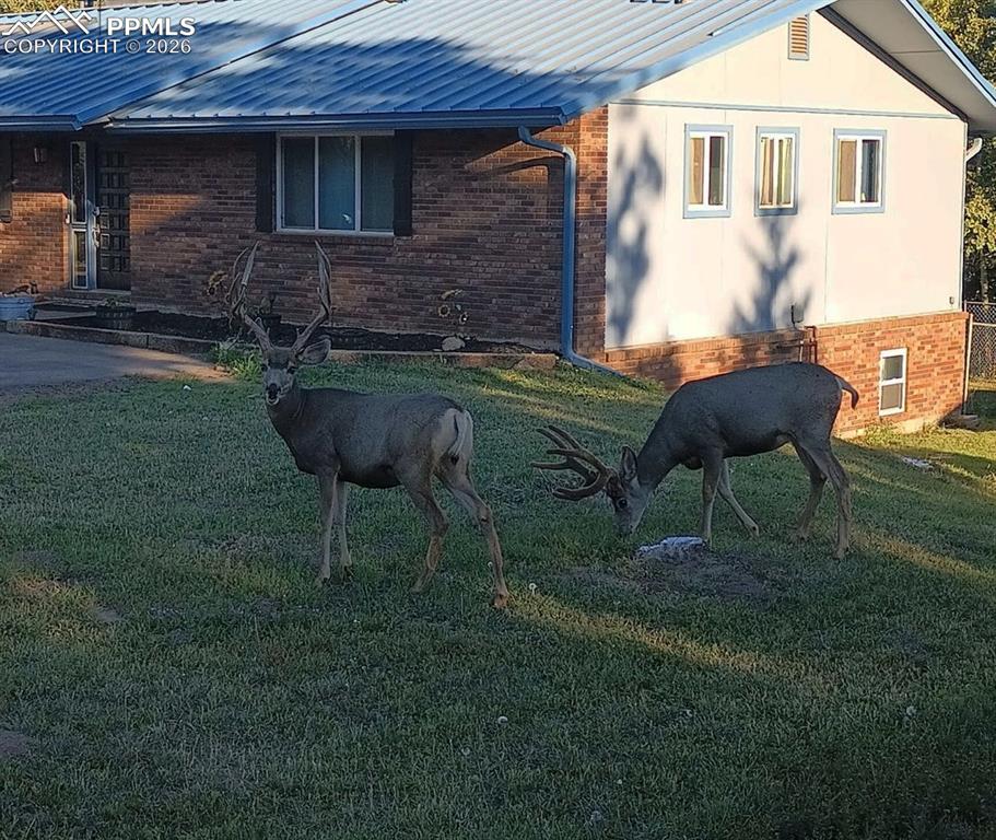 Image 37 of 42: Patio