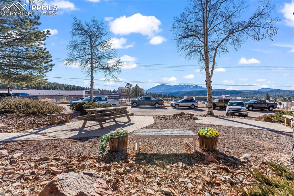 Image 20 of 20: Yard