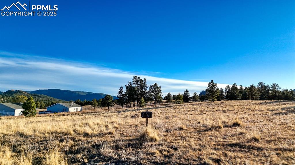 Image 12 of 29: View